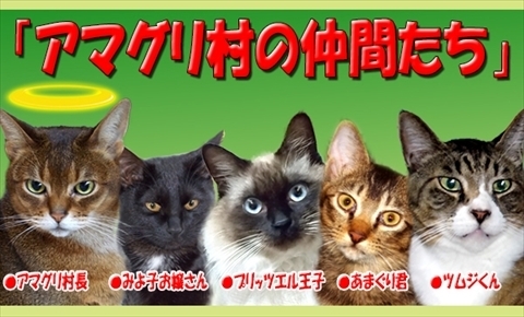 5ニャンブログタイトル3_R.jpg