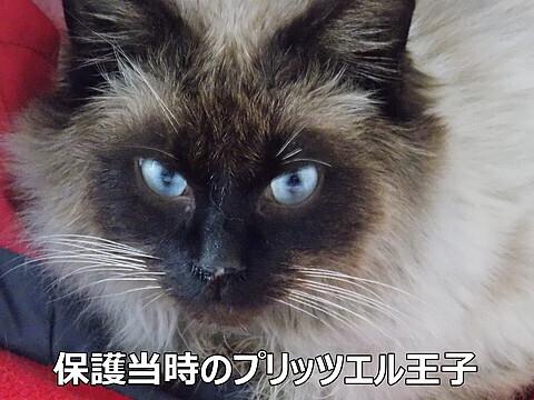 DSCN2575.jpg