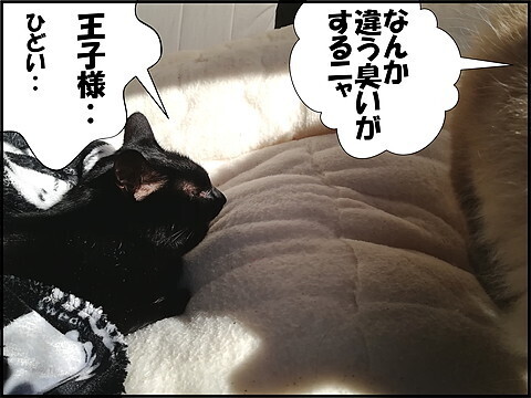 IMG_20210209_111725.jpg